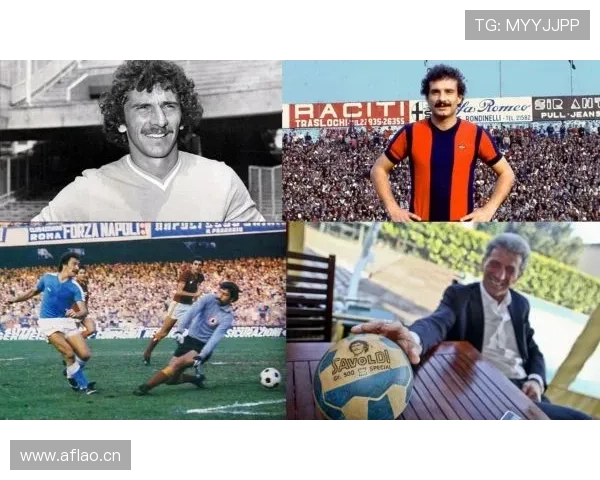 爱尔兰球员转会英超动态:近期表现稳健,竞争力增强 爱尔兰球员转会英超动态:近期表现稳健,竞争力增强