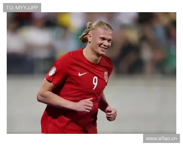 哈兰德挪威年度最佳