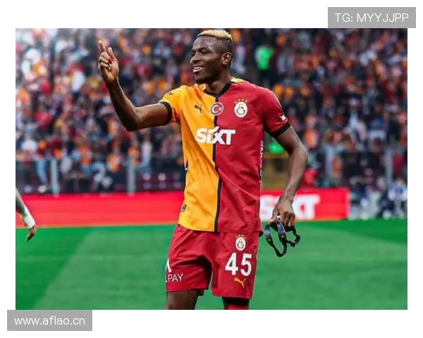 奥斯梅恩生涯荣誉解析:意甲冠军与金靴荣誉的真实含金量